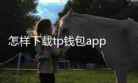 怎样下载tp钱包app：从零到上手的全流程