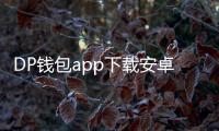 DP钱包app下载安卓版：开启掌上财富新纪元