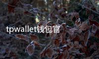 tpwallet钱包官网下载:开启你的数字资产安全管理新纪元