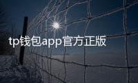 tp钱包app官方正版：开启去中心化世界的便捷之门