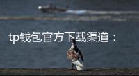 tp钱包官方下载渠道：官方入口，安全无忧的数字钱包之选