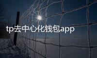 tp去中心化钱包app下载——把资产掌控权交给自己