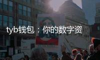 tyb钱包：你的数字资产新入口，一键掌控跨链世界